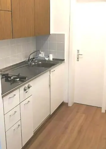 Zentrum Marzili Apartment *